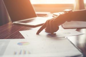 profesyoneldanismanlik