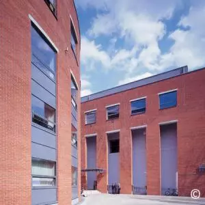 Collegium Da Vinci Üniversitesi