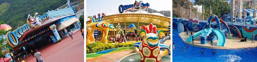 work and travel self placement