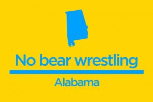 work and travel tavsiye