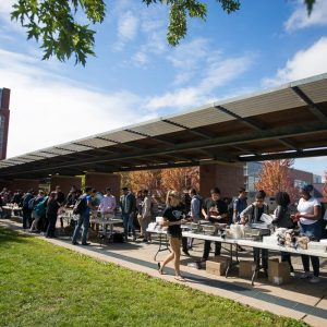 Ontario Üniversitesi Teknoloji Enstitüsü
