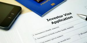 Amerika yatırımcı vizesi